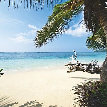 New Emerald Cove Hotel Баи-Сейнт-Энн Экстерьер фото